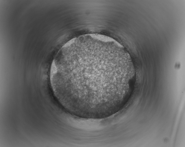 X0000116490032201001201412