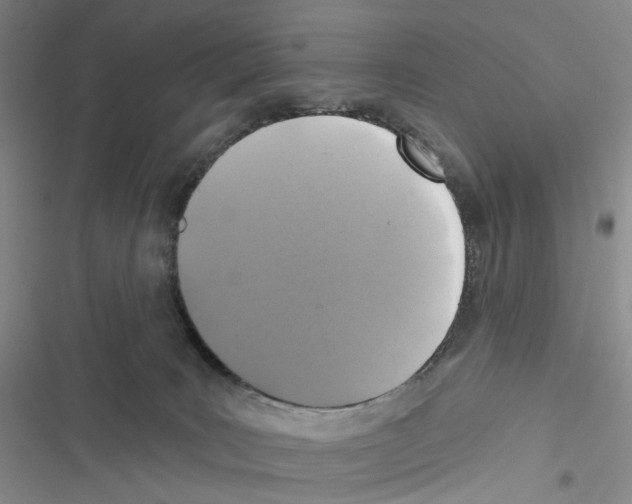 X0000116490035201001201412