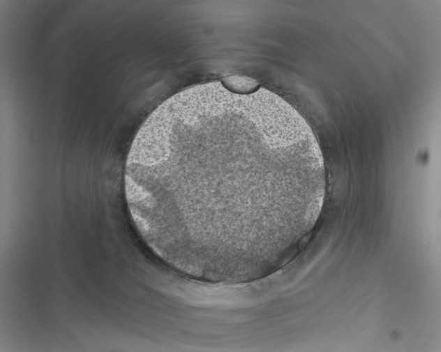 X0000116490036201001201412