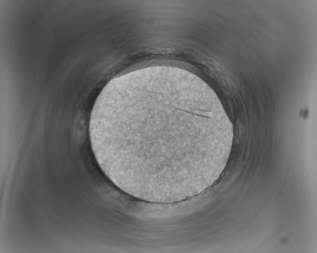 X0000116490037201001201412