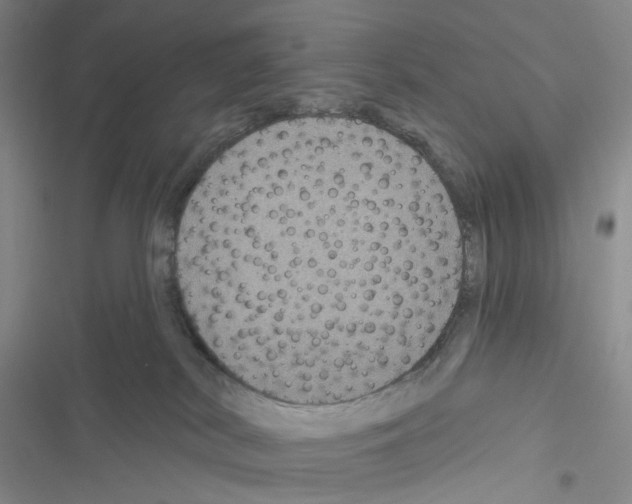 X0000116490038201001201412