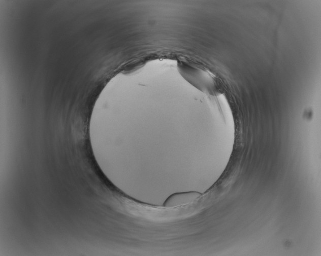 X0000116490039201001201412