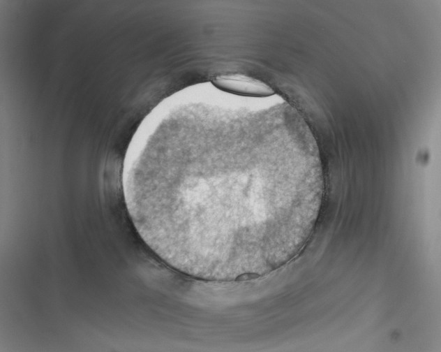 X0000116490041201001201412