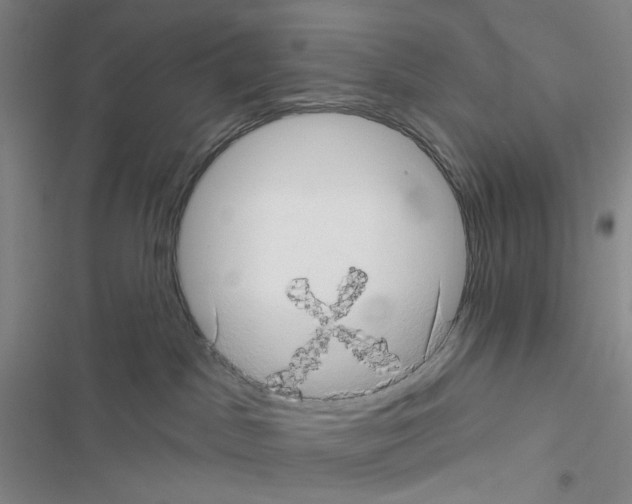 X0000116490045201001201412