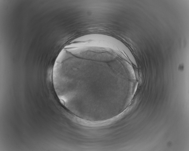 X0000116490047201001201412