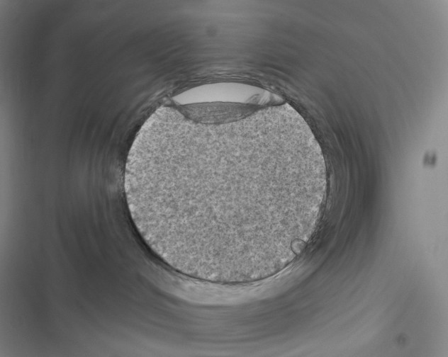 X0000116490048201001201412