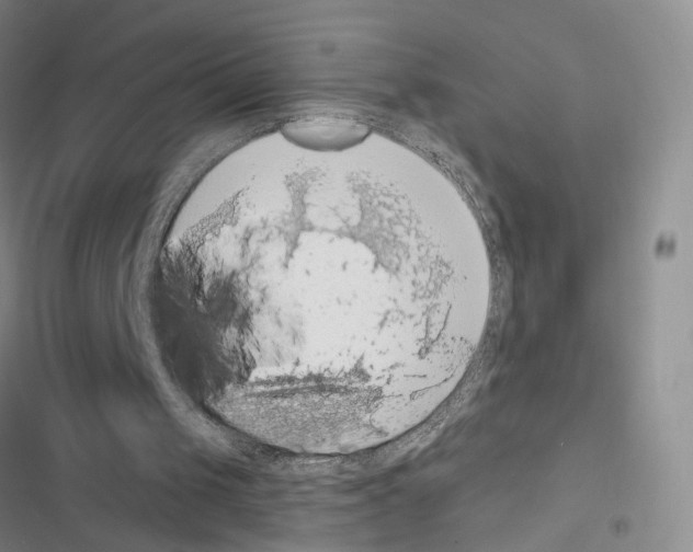 X0000116490049201001201412