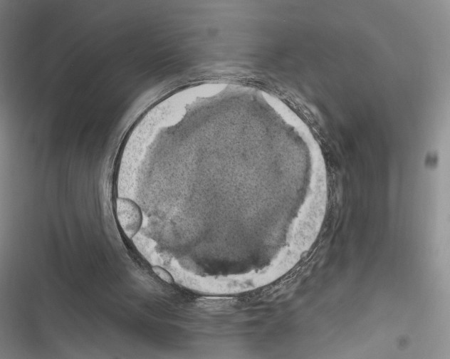 X0000116490051201001201412