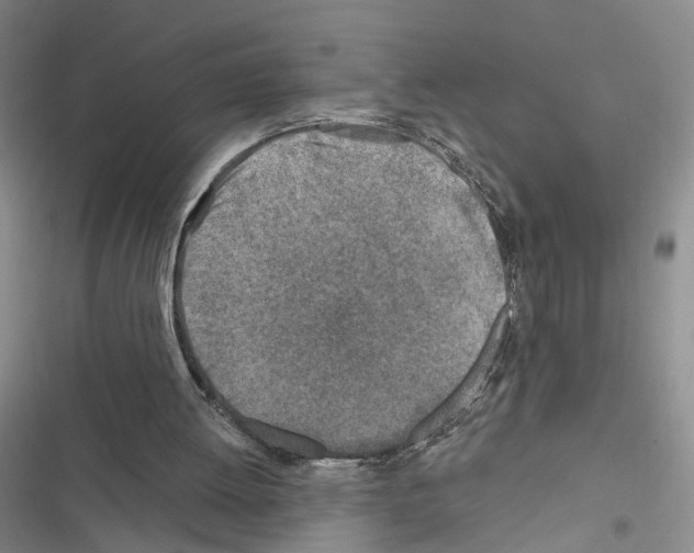 X0000116490052201001201412