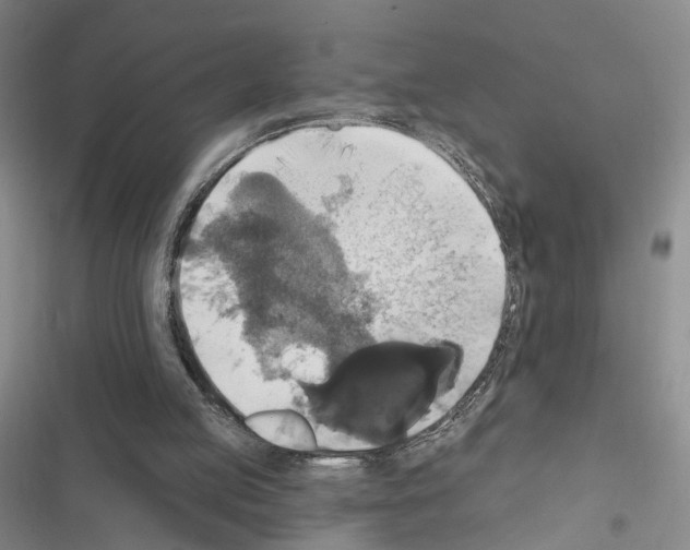 X0000116490053201001201412