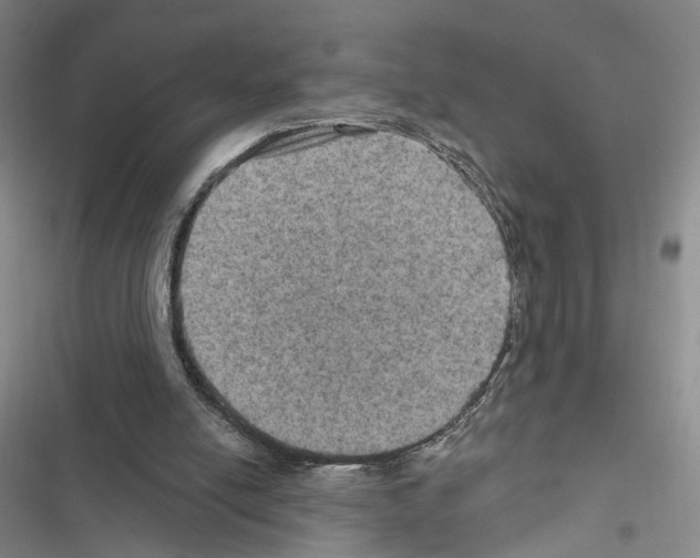 X0000116490054201001201412