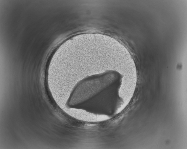 X0000116490055201001201412