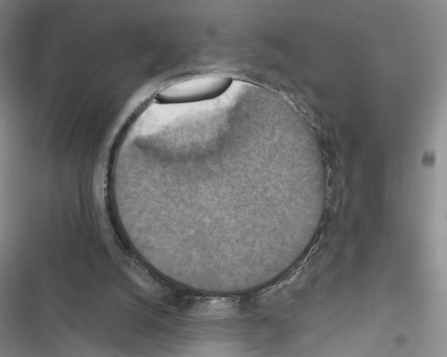 X0000116490056201001201412