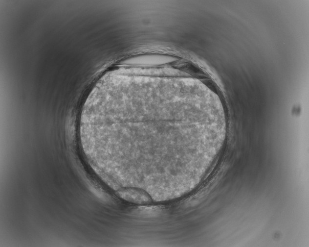 X0000116490057201001201412