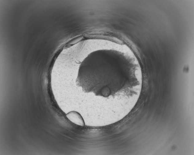 X0000116490059201001201412