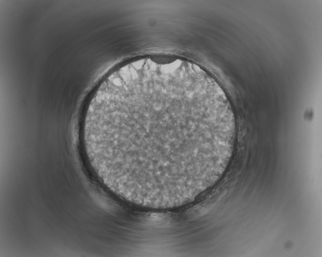 X0000116490060201001201412