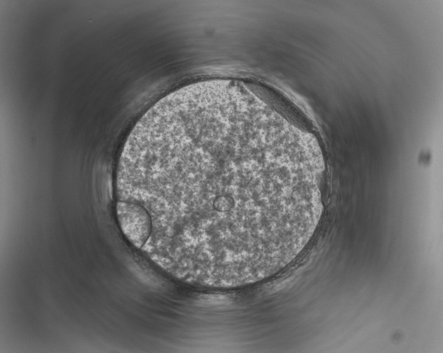 X0000116490061201001201412