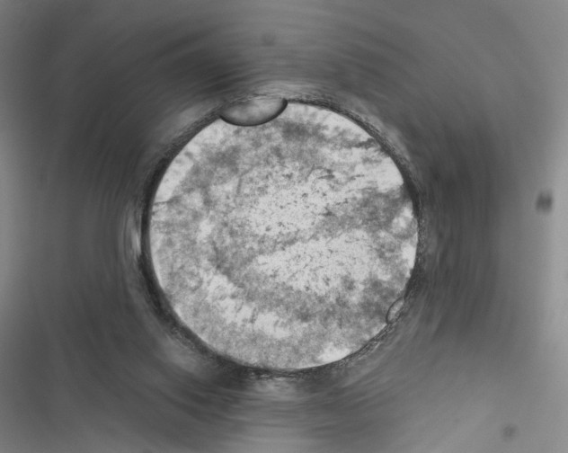 X0000116490062201001201412