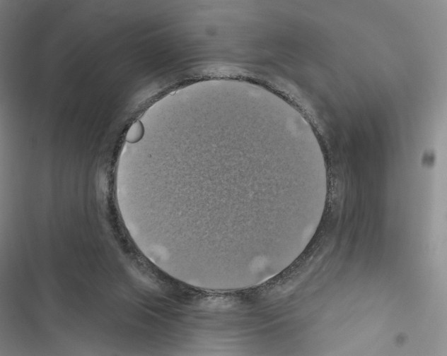 X0000116490063201001201412