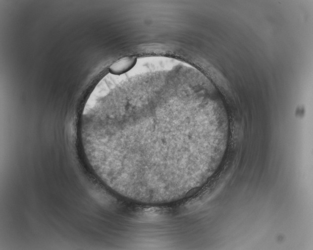 X0000116490064201001201412