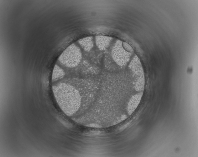 X0000116490065201001201412