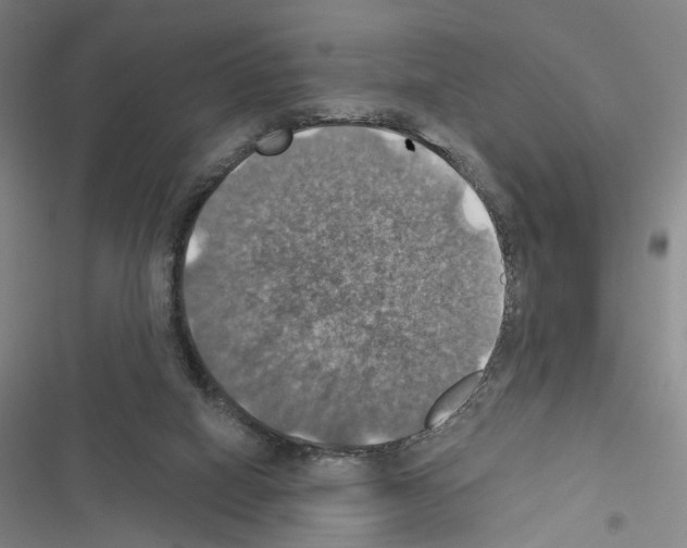 X0000116490066201001201412