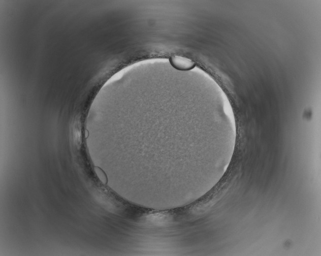 X0000116490067201001201412