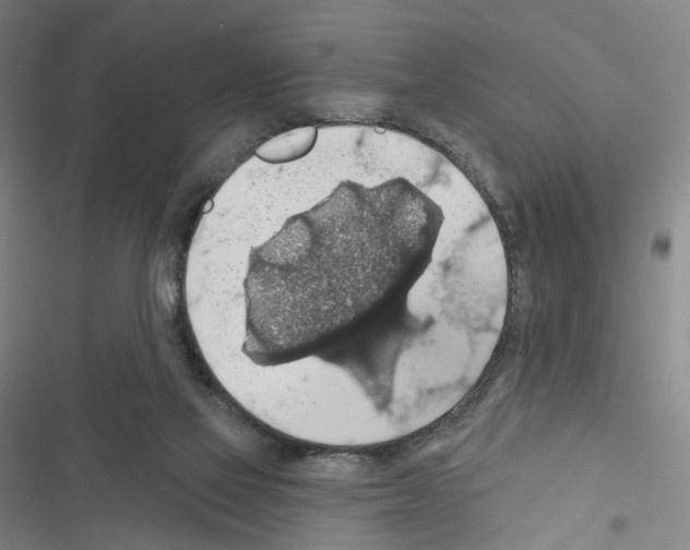 X0000116490069201001201412