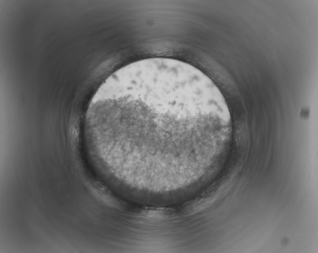 X0000116490072201001201412