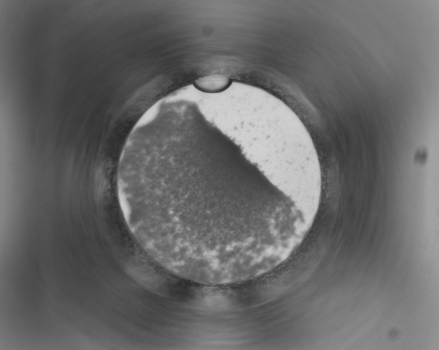 X0000116490073201001201412