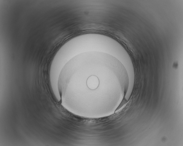 X0000116490074201001201412