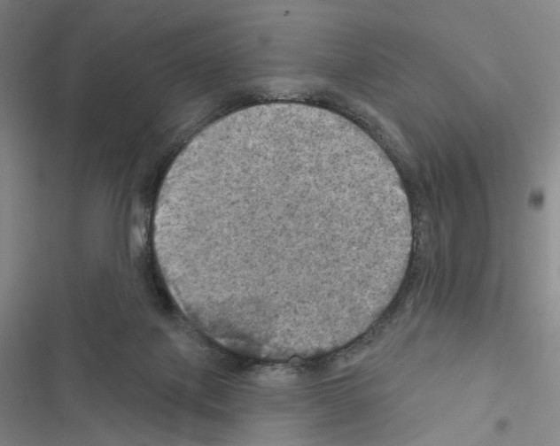 X0000116490075201001201412