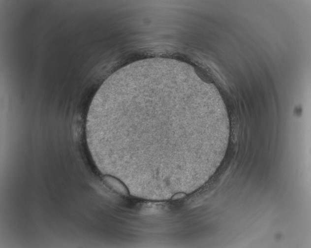 X0000116490077201001201412