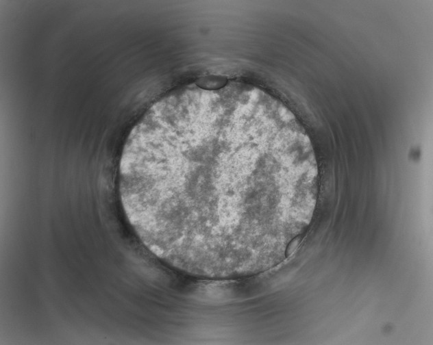 X0000116490078201001201412