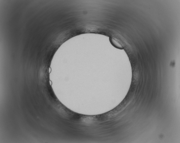 X0000116490079201001201412