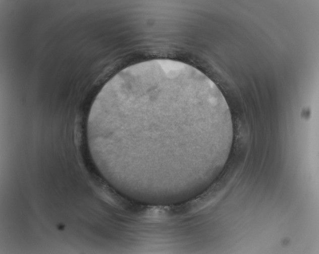 X0000116490080201001201412