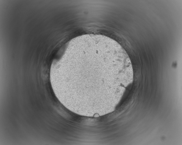 X0000116490081201001201412