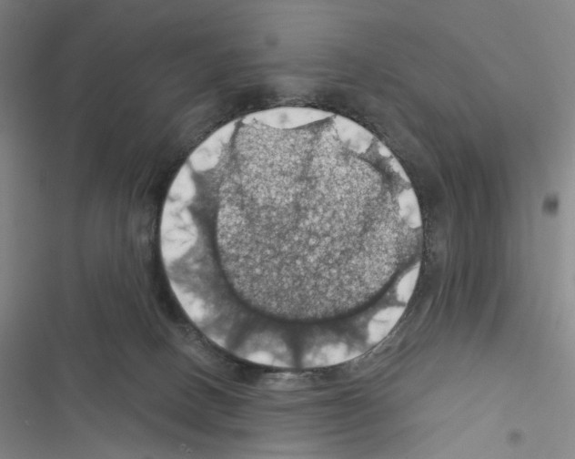 X0000116490082201001201412