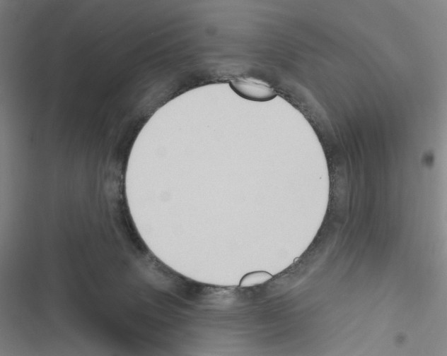 X0000116490083201001201412