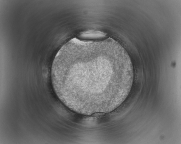 X0000116490084201001201412