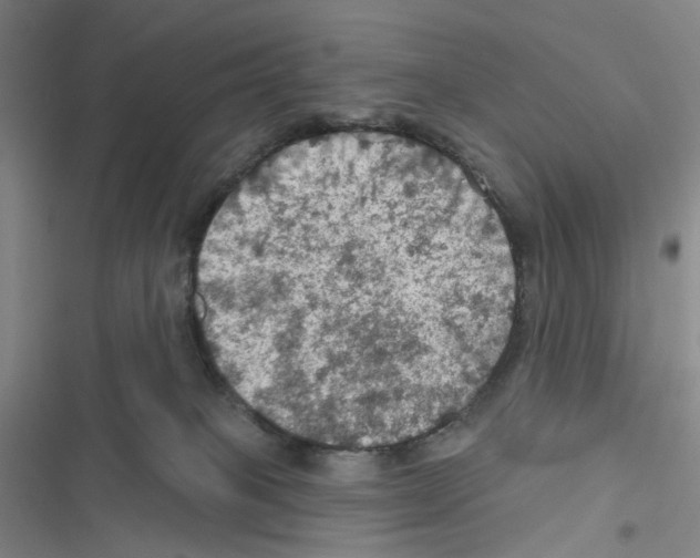 X0000116490085201001201412