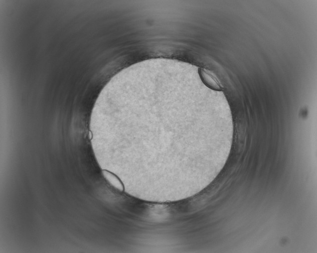 X0000116490091201001201412