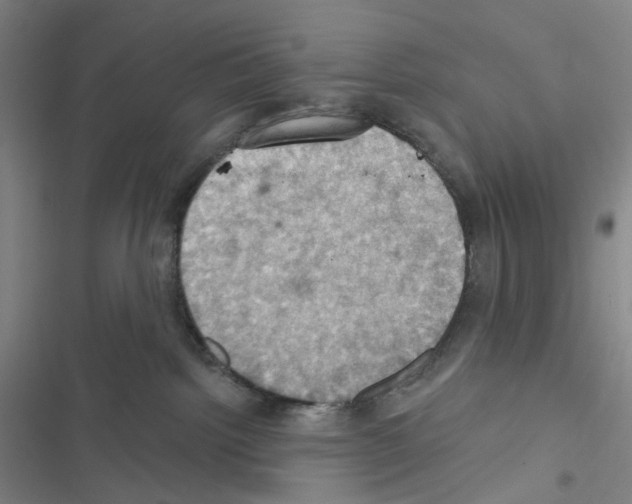 X0000116490092201001201412