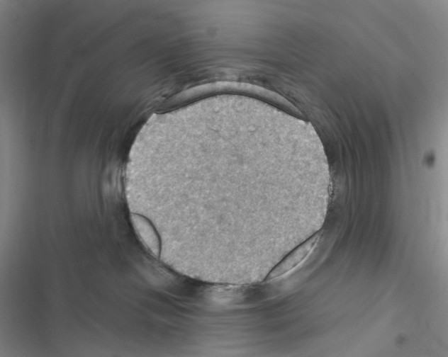 X0000116490094201001201412