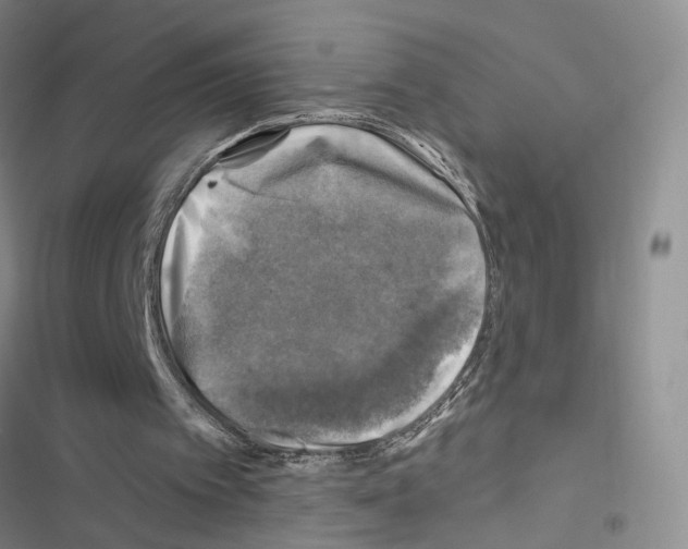 X0000116490097201001201412