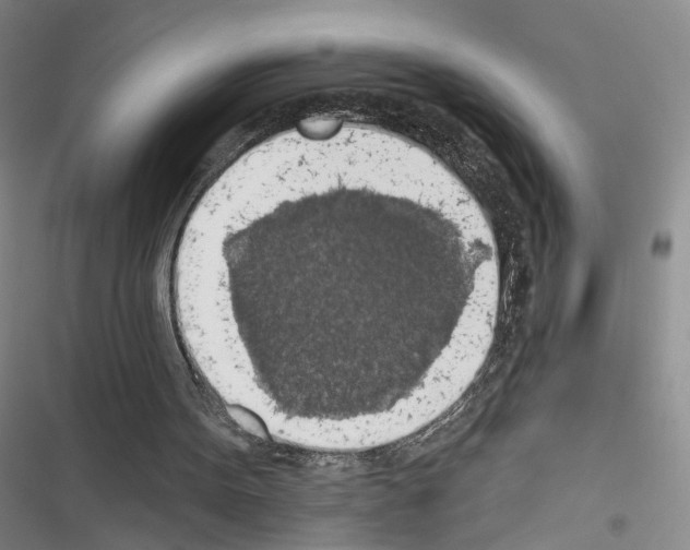 X0000116490099201001201411