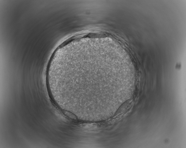 X0000116490100201001201411