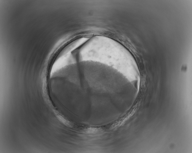 X0000116490101201001201411