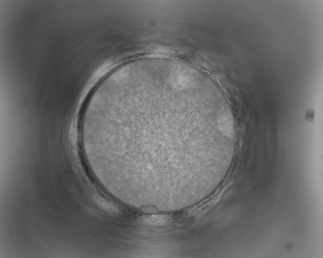 X0000116490102201001201411