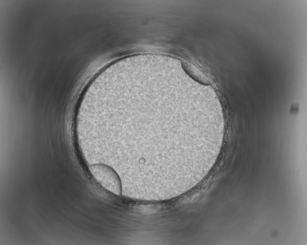 X0000116490103201001201411